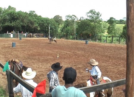 ARENA ESTANCIA PARAISO